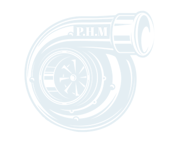 logo phm